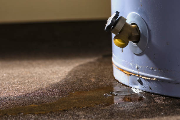 Best Water damage cleanup near me  in Ller, WA