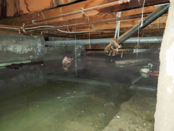 Best Water damage restoration near me  in Ller, WA