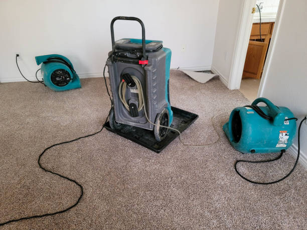 Best Flood damage cleanup  in Ller, WA