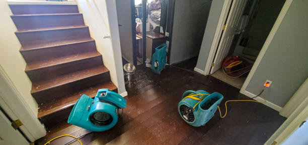 Best Water damage contractors near me  in Ller, WA