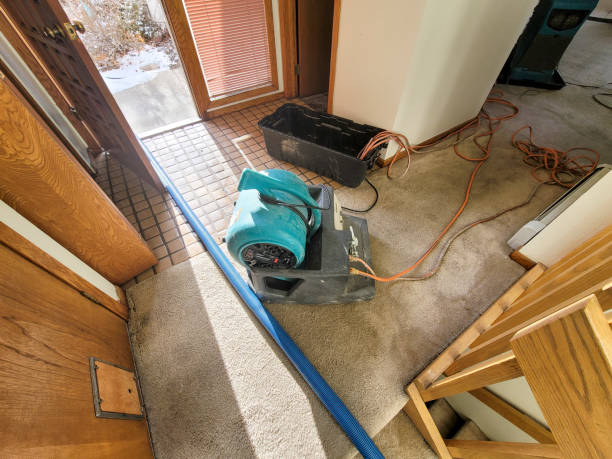 Best Carpet water damage restoration  in Ller, WA