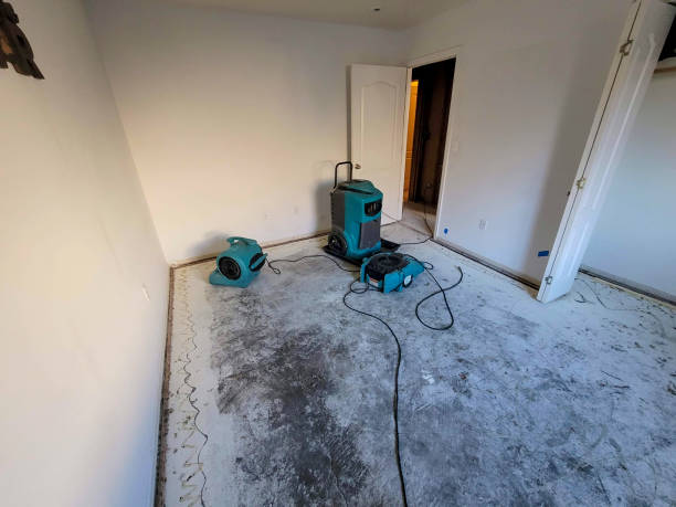 Best Ceiling water damage repair  in Ller, WA