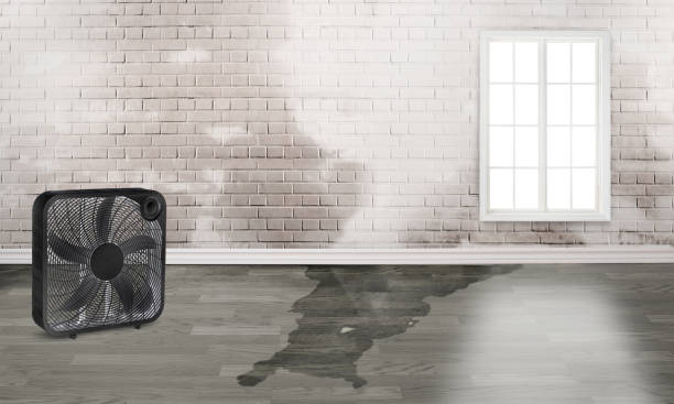 Best Sewage cleanup and water damage restoration  in Ller, WA