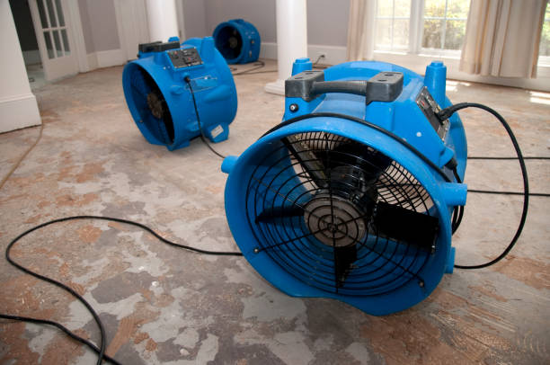 Best Carpet water damage restoration  in Ller, WA