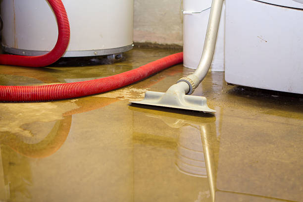 Best Sewage cleanup and water damage restoration  in Ller, WA