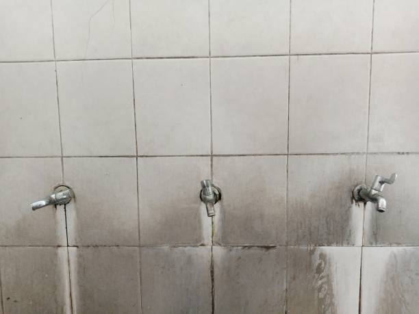 Best Ceiling water damage repair  in Ller, WA