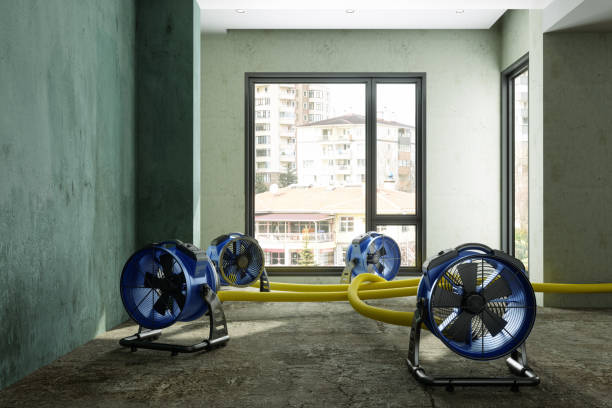 Best Water damage restoration near me  in Ller, WA