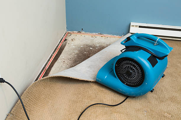 Best Emergency water damage restoration  in Ller, WA